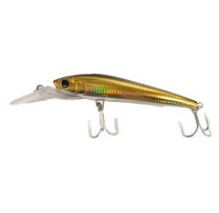 Trolling Minnow(101) 5