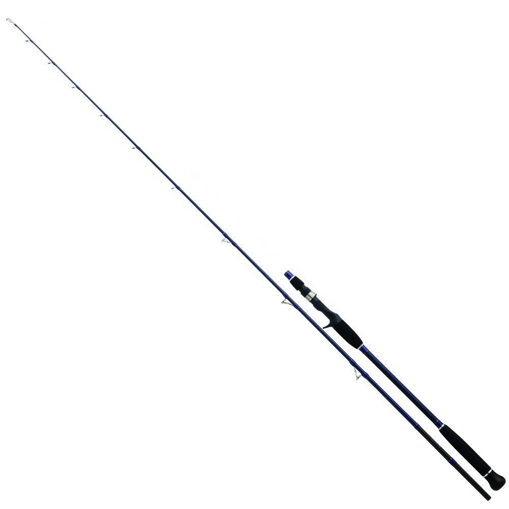 Daiwa Exceler Oceano 198Cm Max250 Olta Kamışı