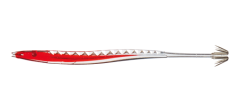 Yamashita Fish KA 11cm Kalamar Zokası RCR